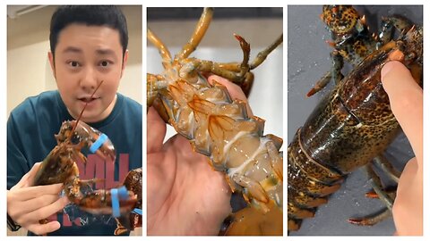 Lobsters the way you never ate before!