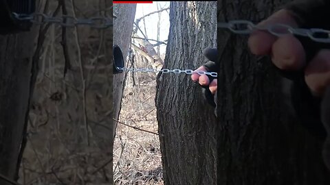 We had just enough patience for this chain reaction geocache...!