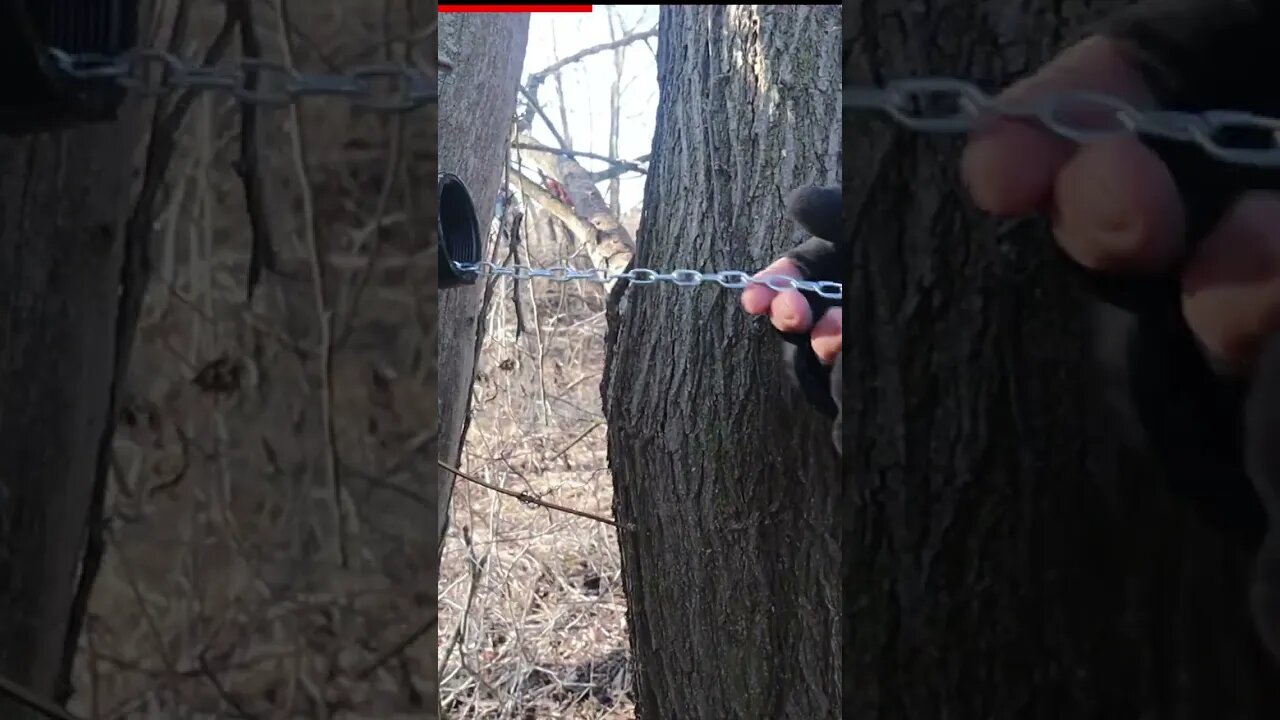We had just enough patience for this chain reaction geocache...!