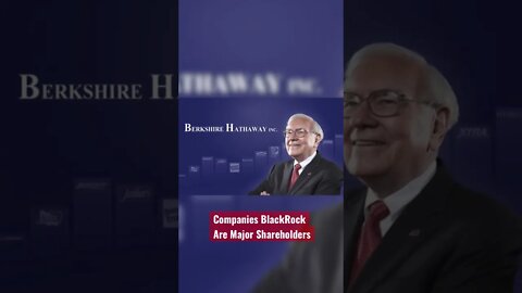 This Company Owns The World (BlackRock)