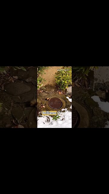 Genius Racoon's Journey into the Underworld