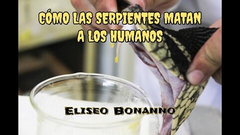 CÓMO LAS SERPIENTES MATAN A LOS HUMANOS