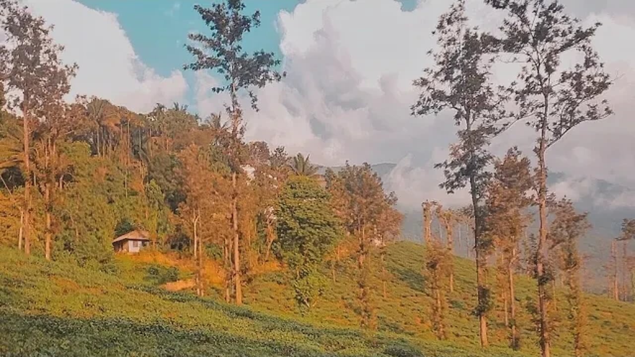 Wayanad Live 📸🥰