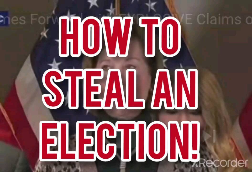 HOW TO STEAL AN ELECTION 2.0