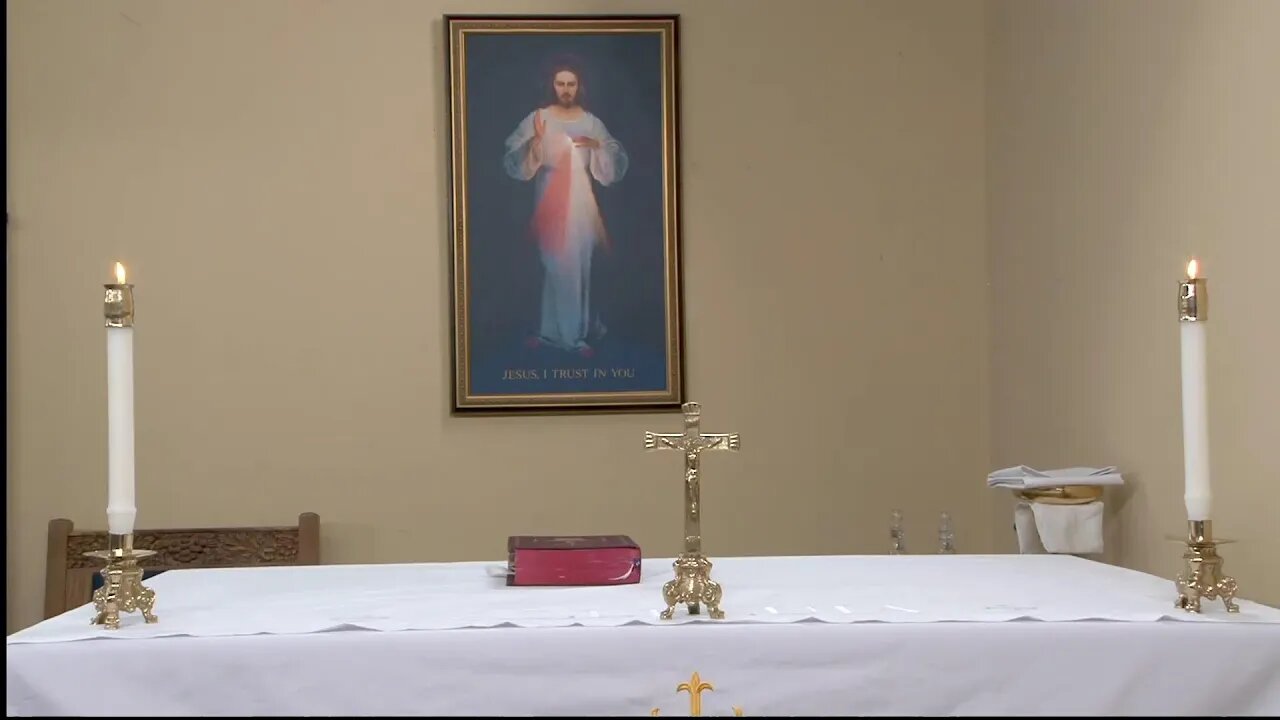 Live Daily Holy Mass