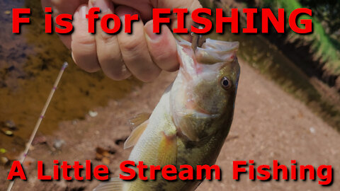 A little stream fishing for Panfish and Bass