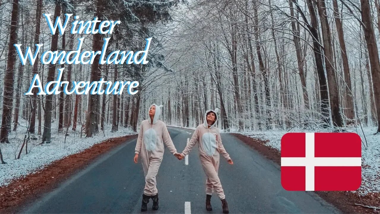 Denmark Travel Vlog: Hamlet's Castle, and a Very White Christmas!