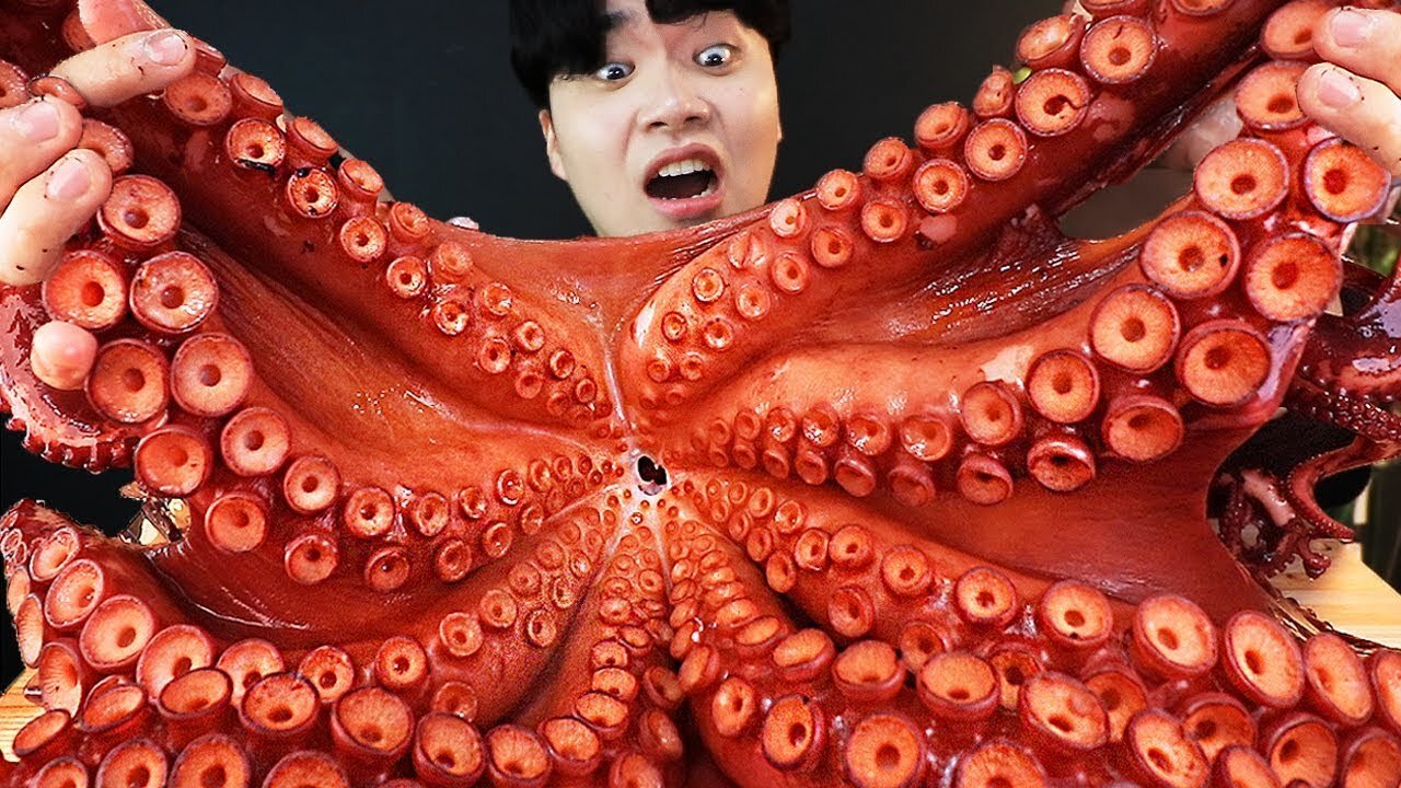 ASMR MUKBANG GIANT KING OCTORPUS EATING SOUND! (6KG)