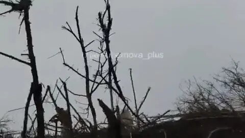 Ukraine War NOW