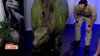 Jurassic World Live | Morning Blend