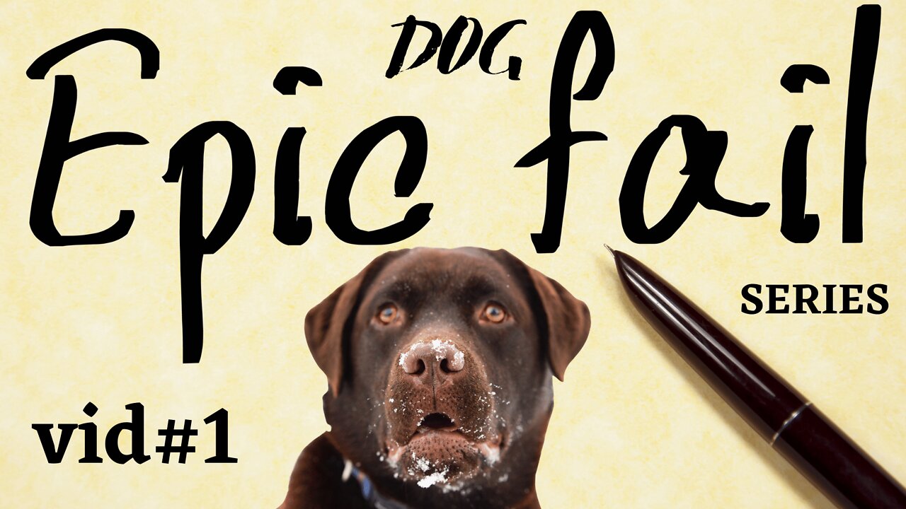 Epic Dog Fail Series (Vid #1)