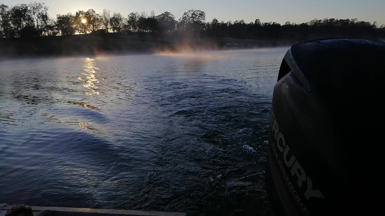 Fishing The Trees at Somerset Dam (Yellowbelly and Bass Fishing Somerset Dam)