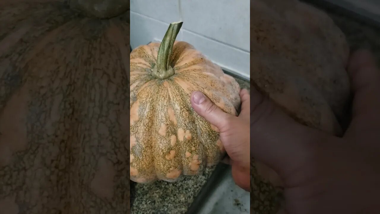 Armazenamento de Abóboras