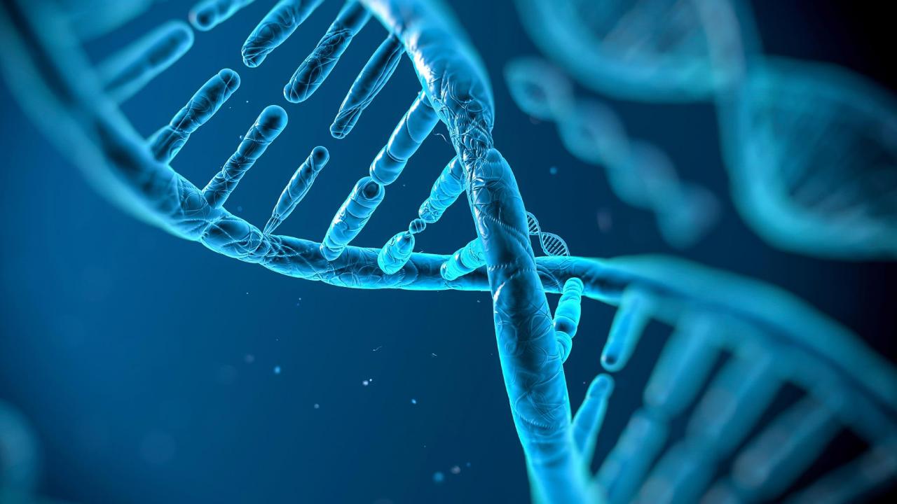 The DNA of God & the Mark of the Beast
