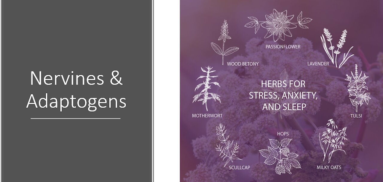 Nervines & Adaptogens for Stress, Anxiety and Burnout