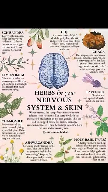 THEY DONT WANT YOU TO KNOW