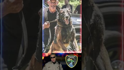 K9 Harrie Shreveport PD Louisiana End of Watch Saturday, June 24, 2023