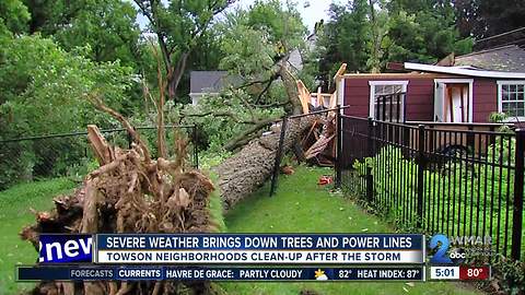 Severe weather brings down trees and power lines in Towson