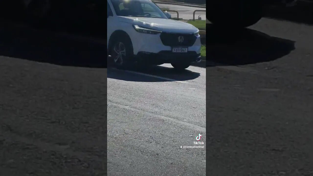 Valinhos SP totalmente abandonada ... nojento demais guard rails quebrados pela cidade toda !