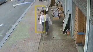 The Sneaky Goose finds a victim!