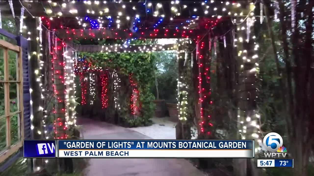New 'Gardens Of Lights' event hits Mounts Botanical Garden