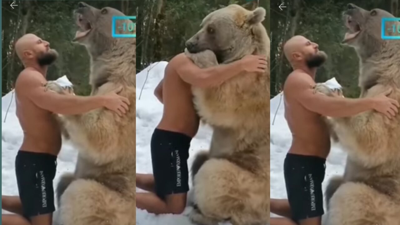 Grizzly bear pops out of winter den for the first time|