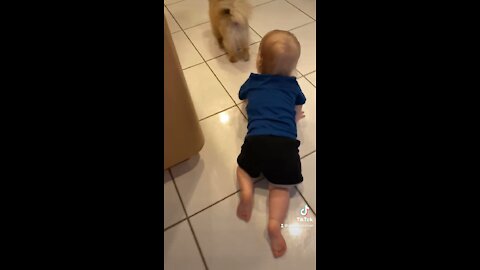 Baby sneaks up on his doggy.