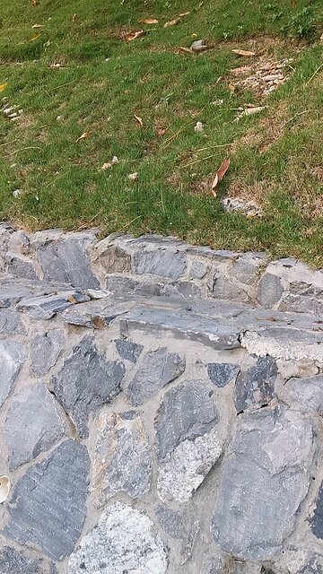 Bahia Principe Hotel in Samana