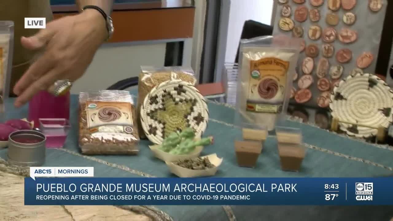 Pueblo Grande Museum reopens after pandemic closure