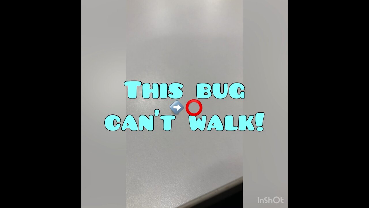 This bug can’t walk!