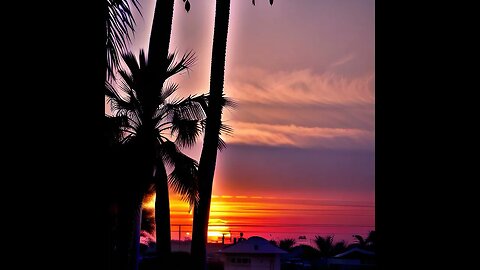 Sunrise 🌅 by wonder ai #sunrise #wonderapp #goodmorning