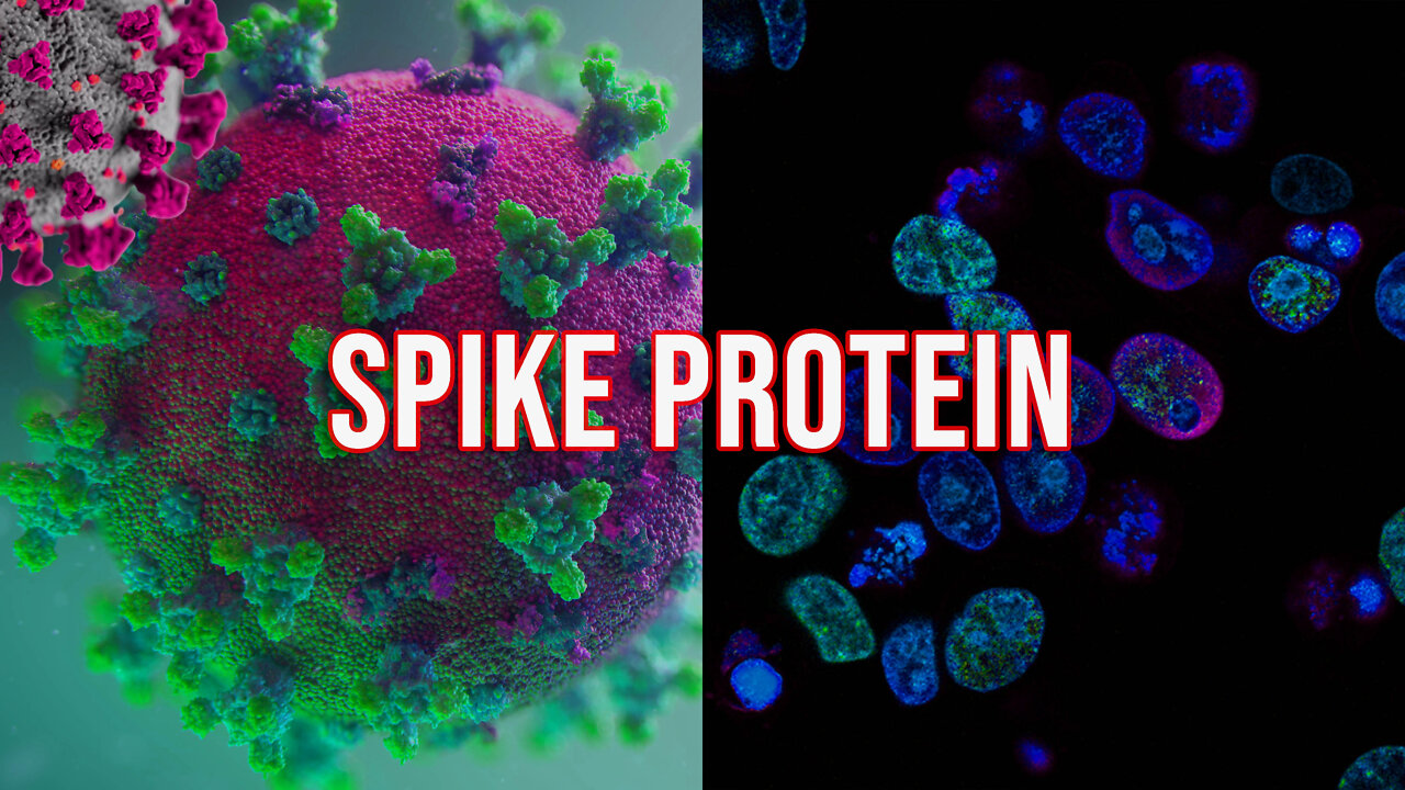 INTERVIEW: Spike Protein Does THIS to Blood & How to Treat It