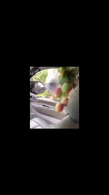 I never drive, but today it worked for me! #short