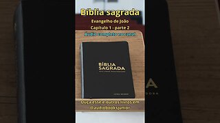 Bíblia Sagrada - Evangelho de João - Capítulo 1 - parte 2