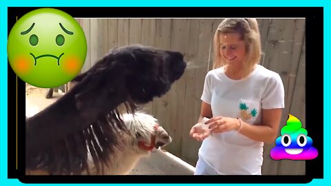 Funny Fail Peoples 04 TRY NOT to LAUGH Compilation