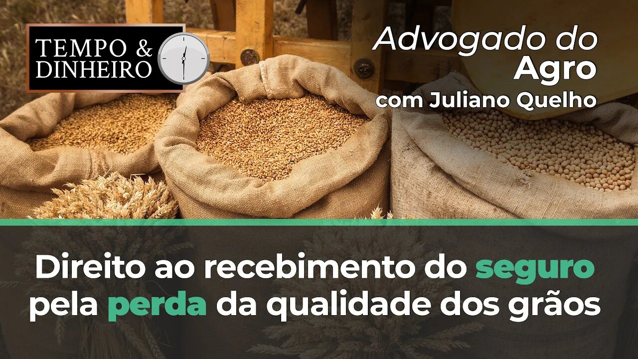 Advogado do Agro Responde sobre o direito ao recebimento do seguro pela perda da qualidade dos grãos