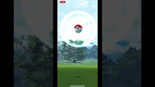 Pokémon Go - Catching Drilbur Gameplay #shorts