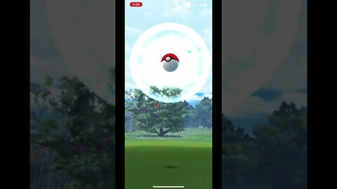 Pokémon Go - Catching Drilbur Gameplay #shorts
