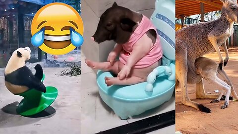 Funny Animals 😂😂 2023