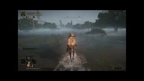 The BEST Part of the Map | Elden Ring | Stream Clips
