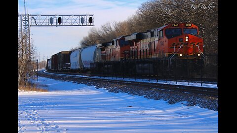 Long BNSF Train Rounding the Curve - Staples Subdivision
