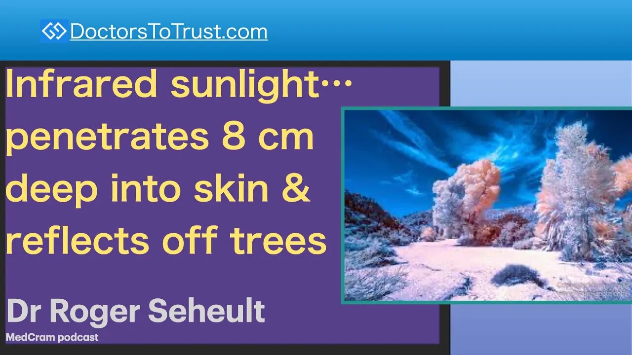 SUNLIGHT 6 | Infrared sunlight…penetrates 8 cm deep into skin & reflects off trees