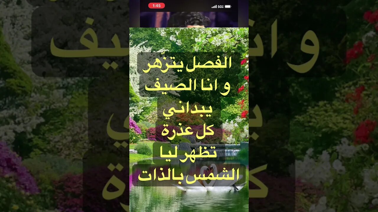 Amer Ezzahi عمر الزاهي في الربيع ينور