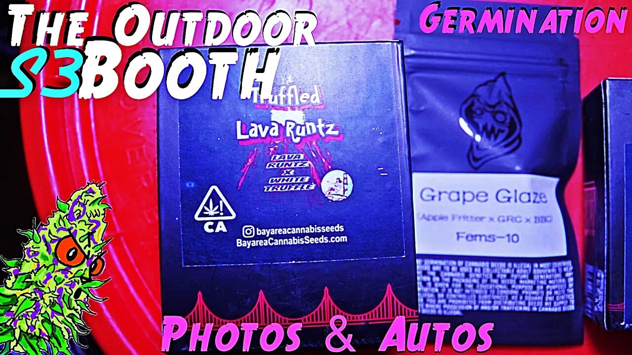 The Outdoor Booth S3 Ep. 1 |Germinating The Babies! | Autos & Photos