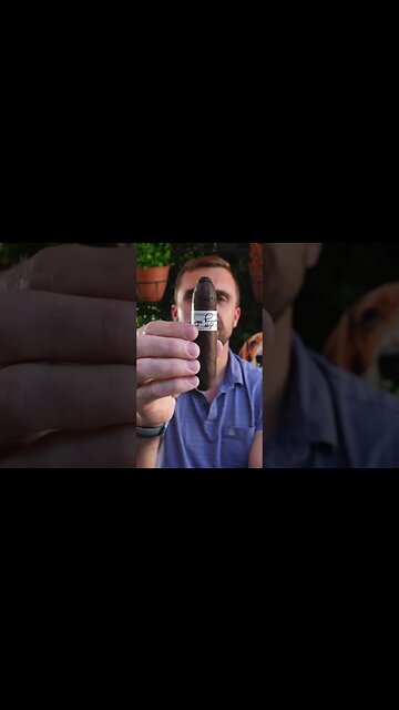 When pigs fly 🪽🐖 #cigar #cigars #luxury