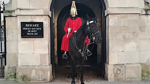This horse is wating to bite. girl is warned by friend's about beware sign #thekingsguard
