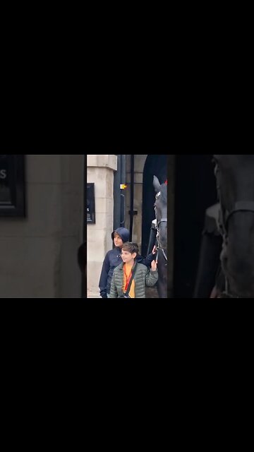 Kid pulling the rein #horseguardsparade