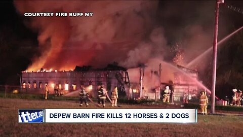 14 animals killed in Depew Barn fire