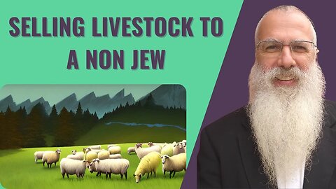 Mishna Pesachim Chapter 4 Mishnah 3. Selling livestock to a non Jew