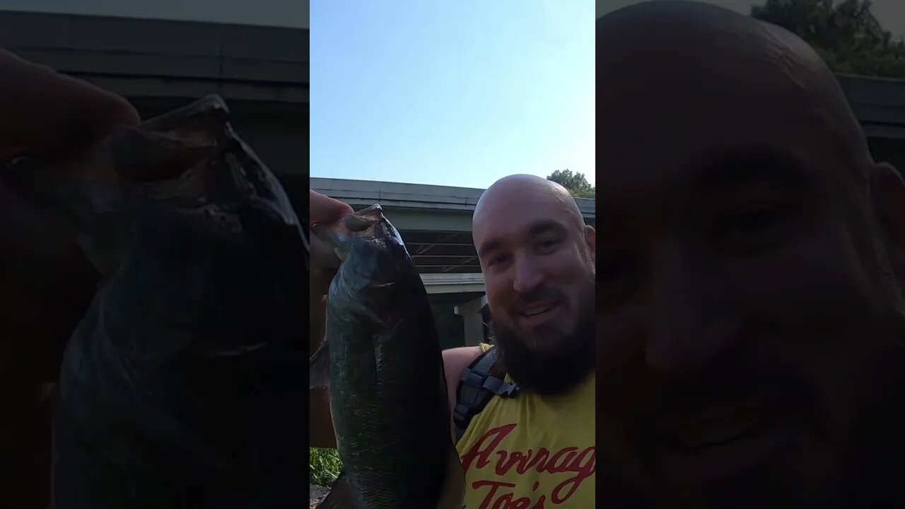 Smallmouth bass in the grass!